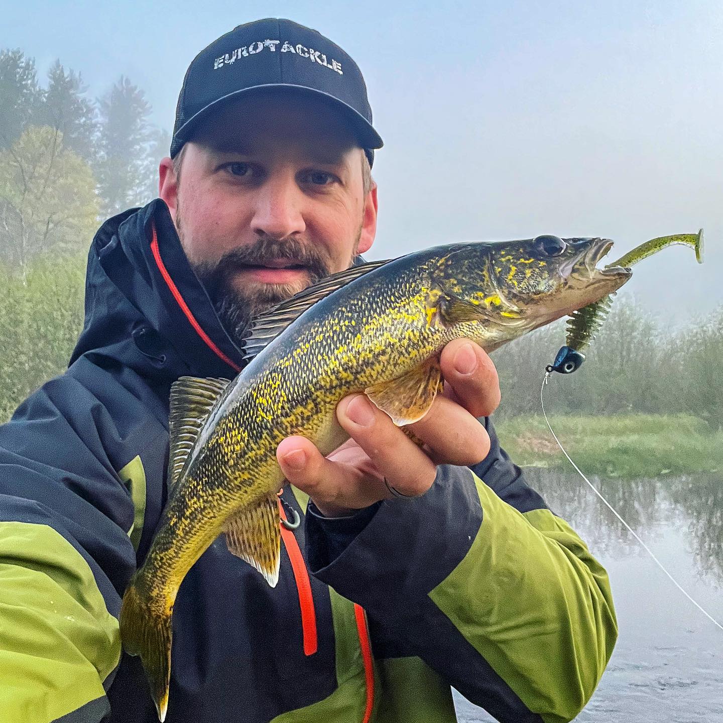 Walleye Baits