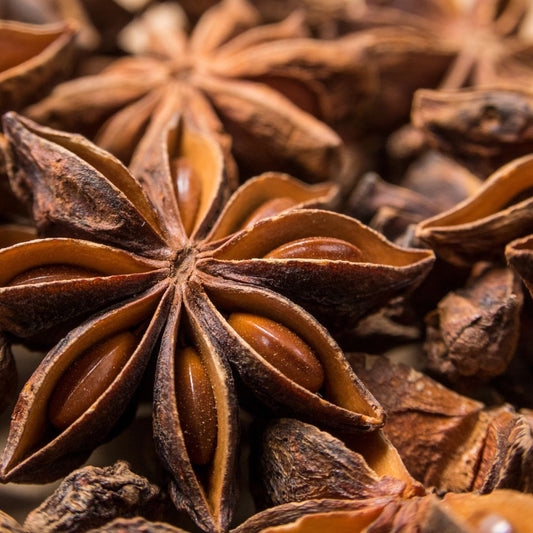 Anise Scented Fish Attractant