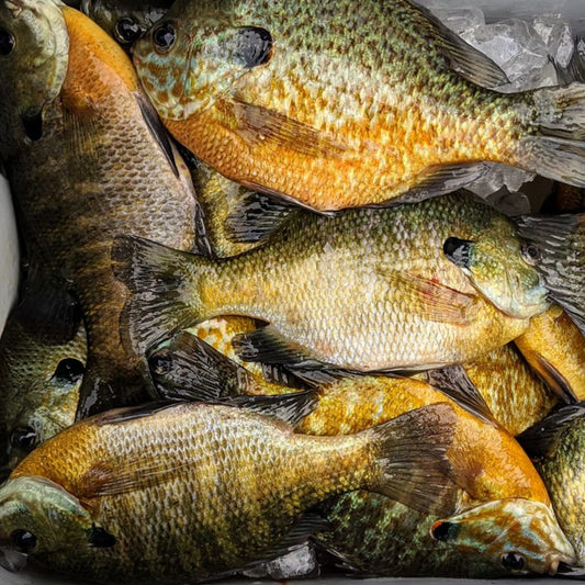 BillyRub Scented Fish Attractant @ Sportsmen's Direct: Targeting Outdoor  Innovation